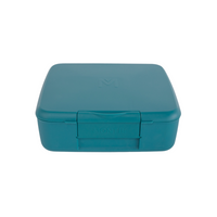 Load image into Gallery viewer, montiico feast lunchbox pine