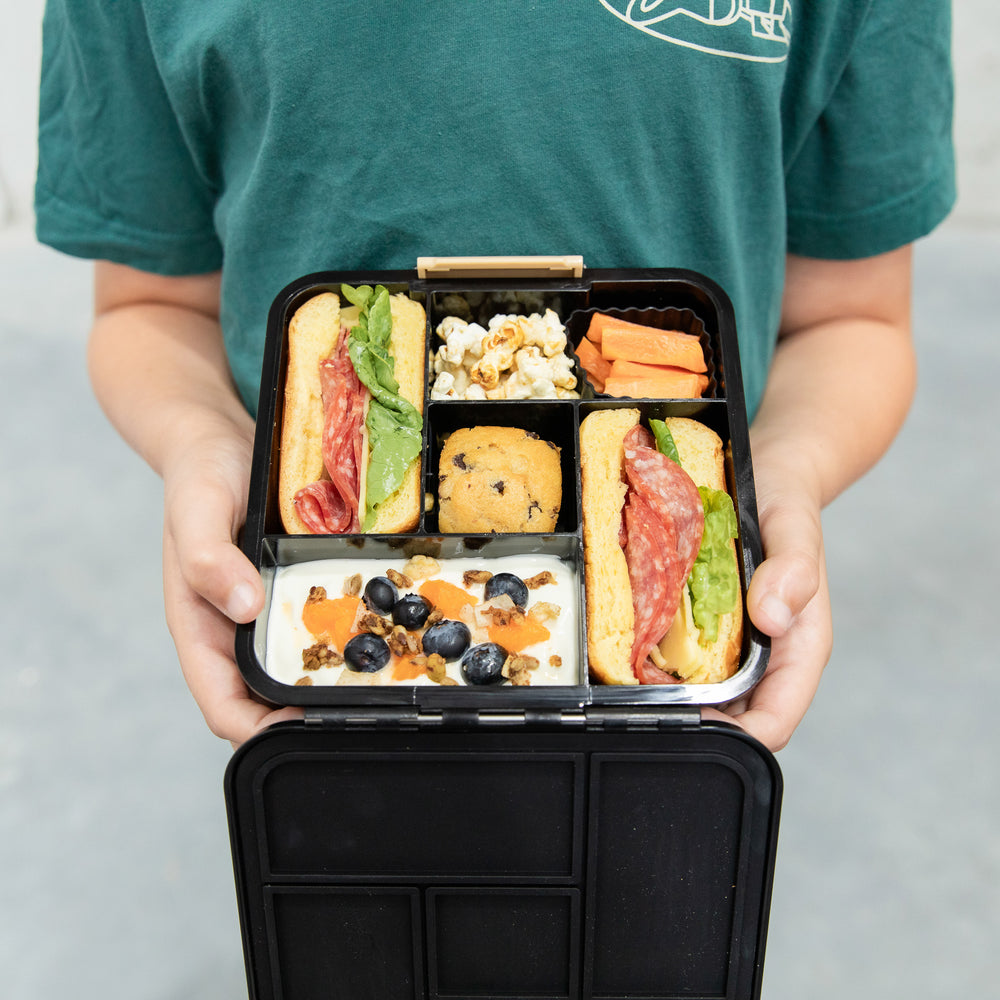 montiico bento 5 dinosaur land