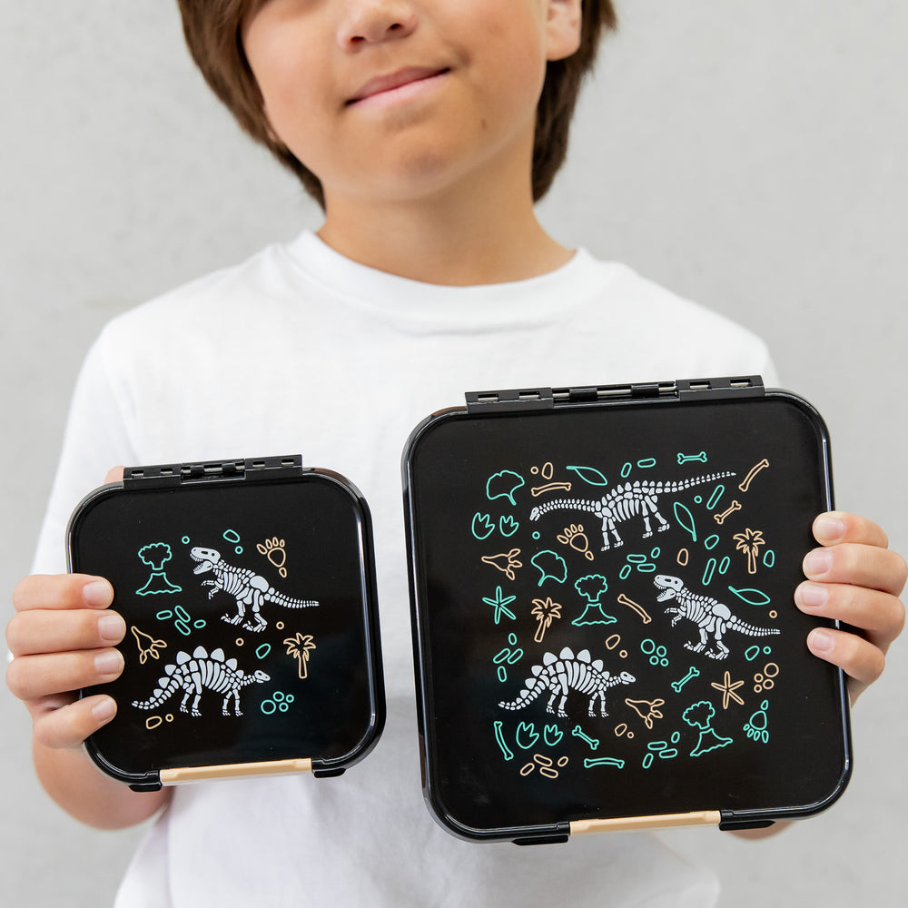 montiico bento 5 dinosaur land