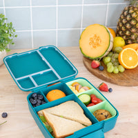 Load image into Gallery viewer, montiico feast lunchbox pine