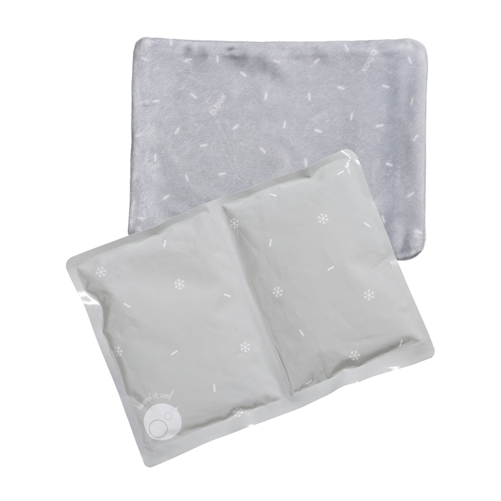 b box jumbo gel cooler twin pack