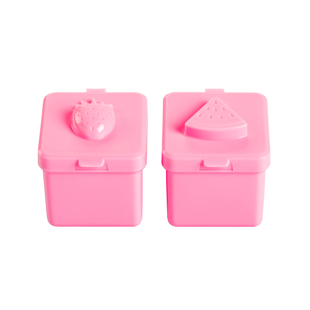 little lunch box co bento surprise boxes fruits