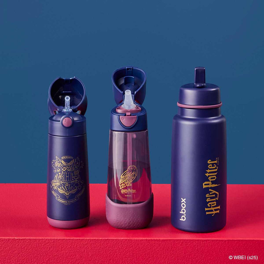 bbox 1l insulated drink bottle harry potter