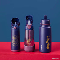 Load image into Gallery viewer, bbox 1l insulated drink bottle harry potter
