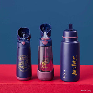 bbox 1l insulated drink bottle harry potter