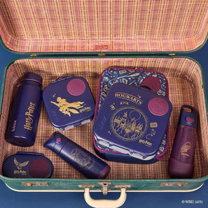 insulated lunch bag harry potter