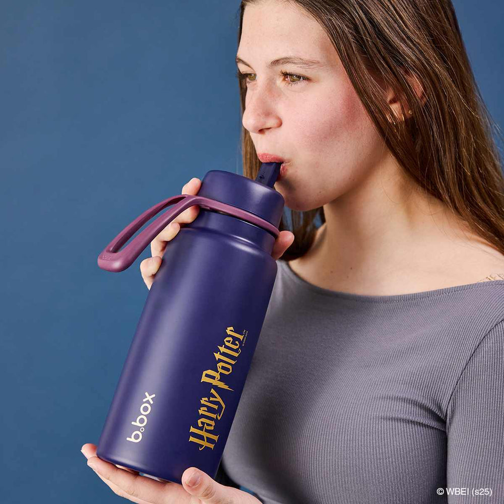 bbox 1l insulated drink bottle harry potter