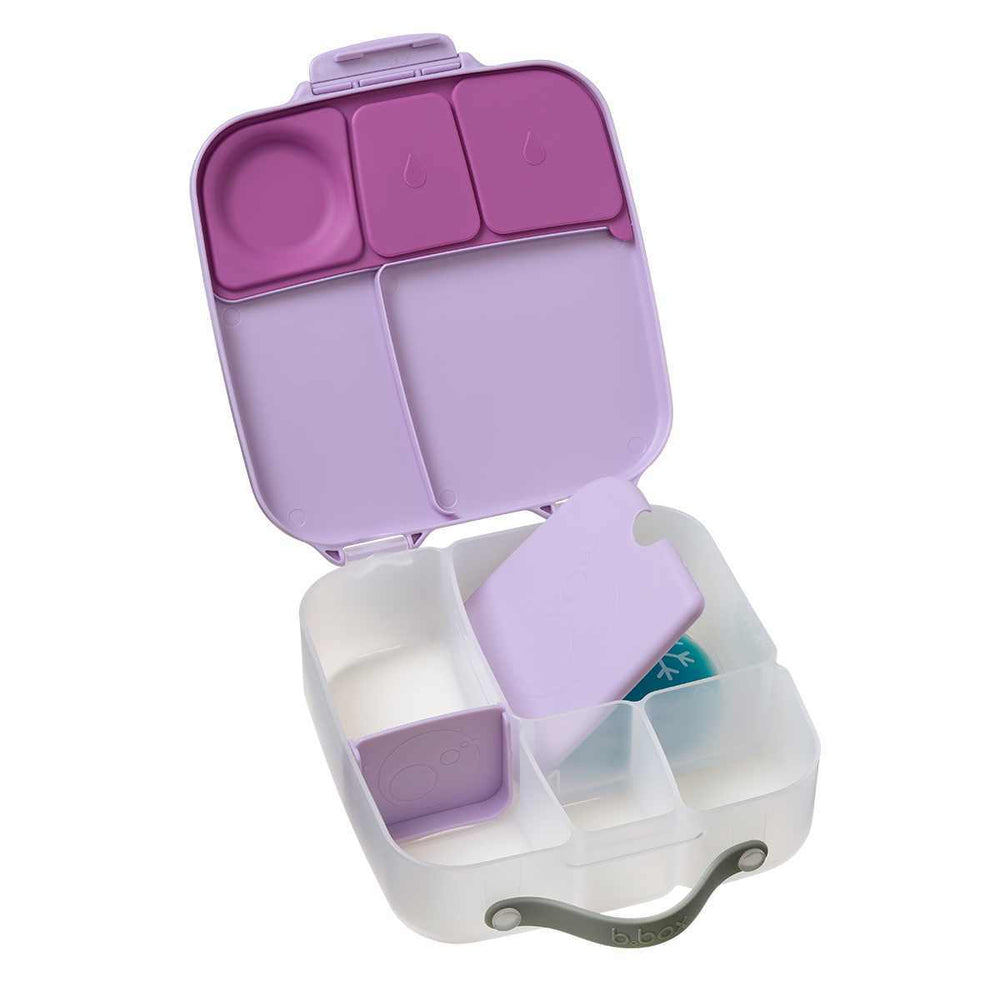 bbox large lunchbox sugar plum