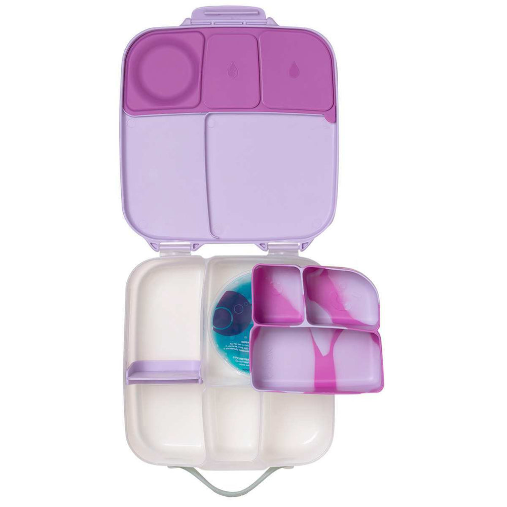 bbox bento buddy lunchbox size cosmic