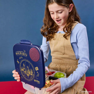 bbox large lunchbox harry potter