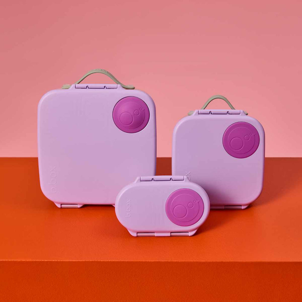 bbox large lunchbox sugar plum