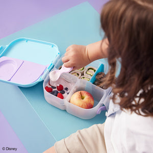 frozen mini lunchbox