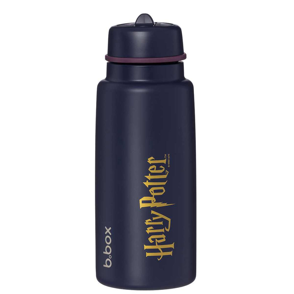 bbox 1l insulated drink bottle harry potter