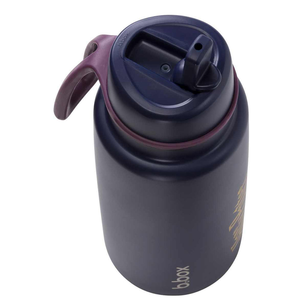 bbox 1l insulated drink bottle harry potter