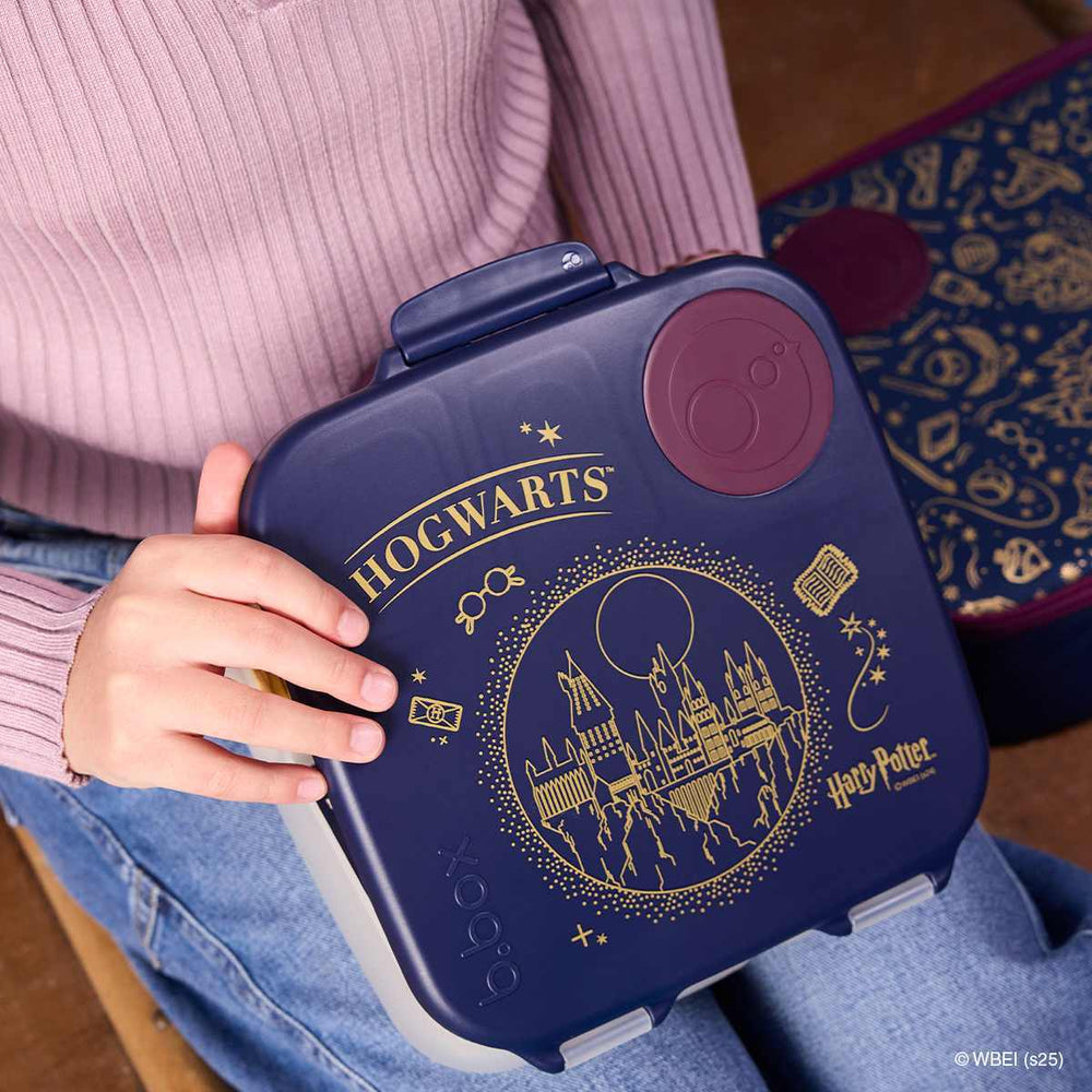 bbox large lunchbox harry potter