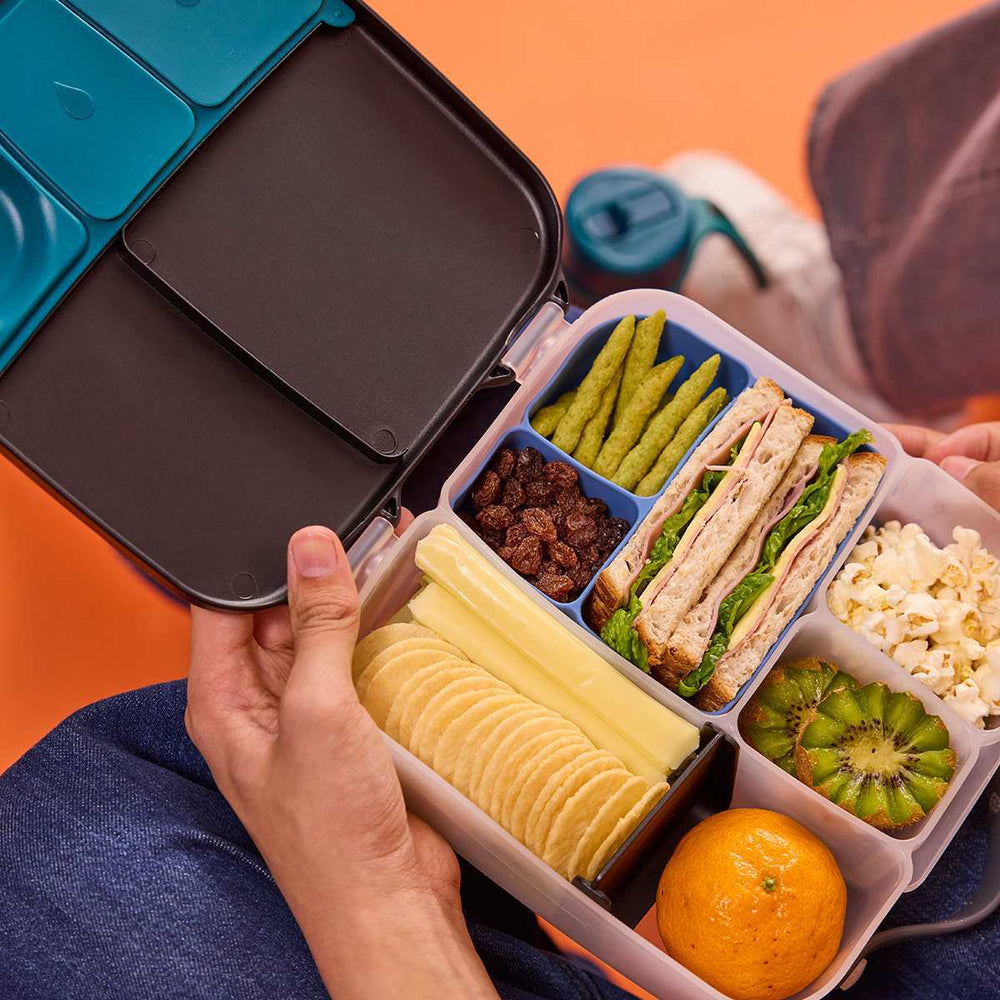 bbox bento buddy lunchbox size ocean