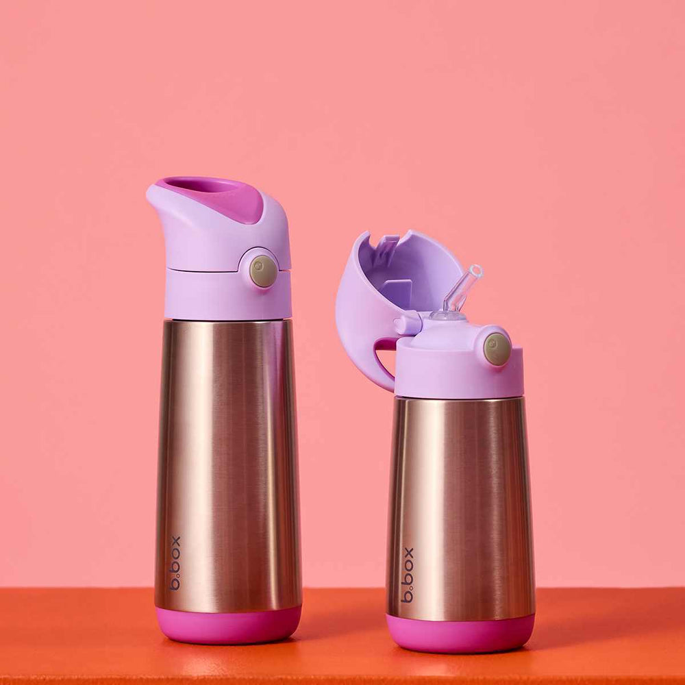 500ml insulated bbox drink bottle sugar plum