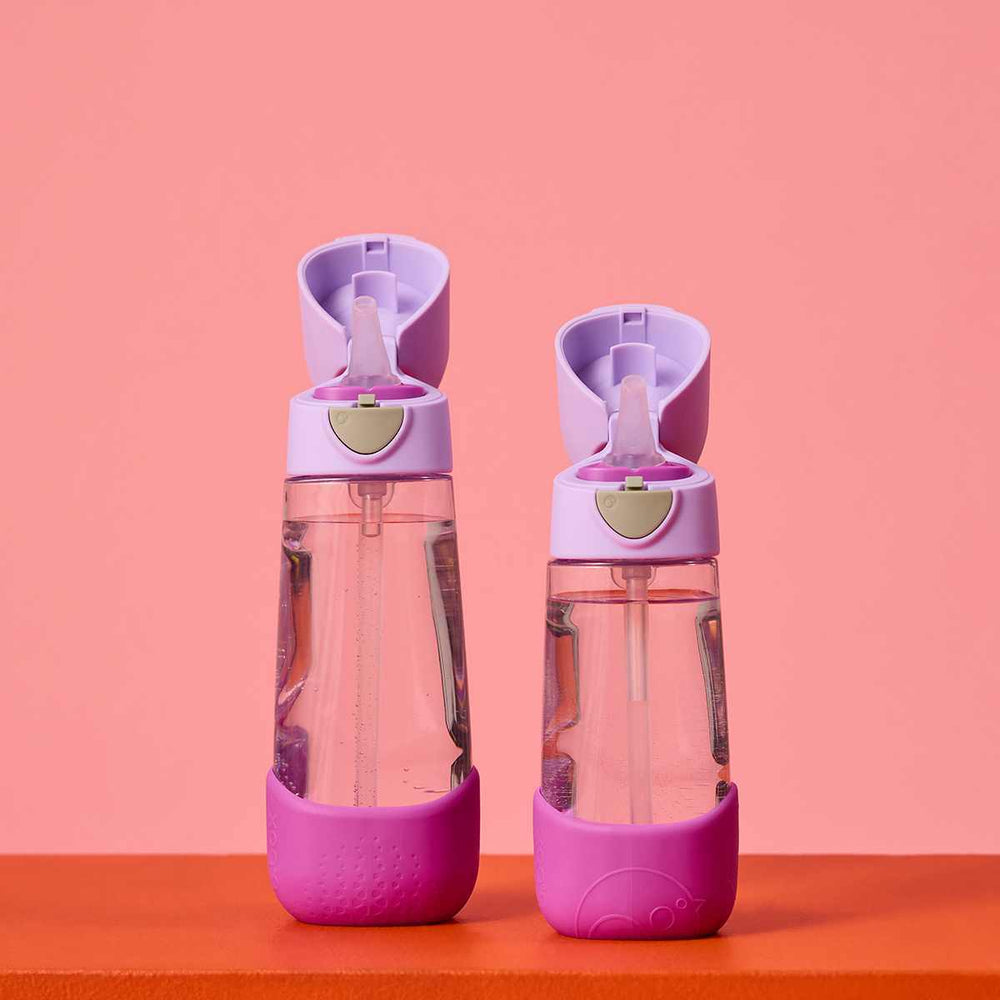 bbox 600ml tritan drink bottle sugar plum