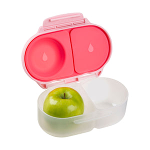 B Box Snackbox Lunchbox - Flamingo Fizz