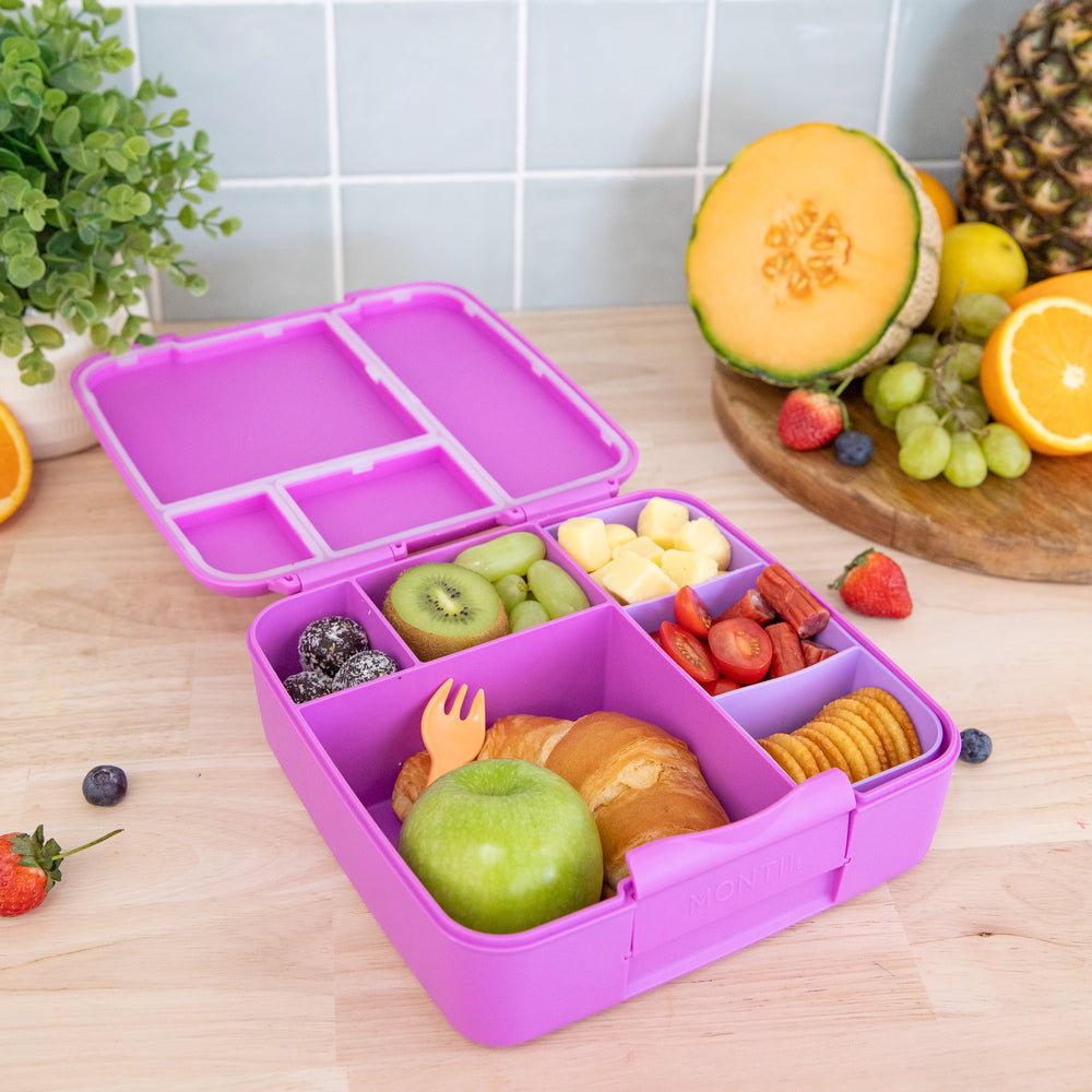 montiico feast lunchbox fuchsia