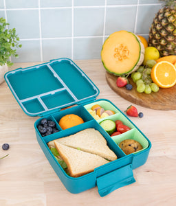 montiico feast lunchbox pine