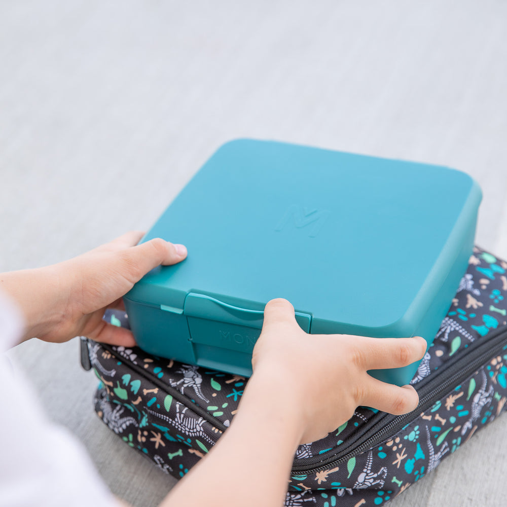 montiico feast lunchbox pine