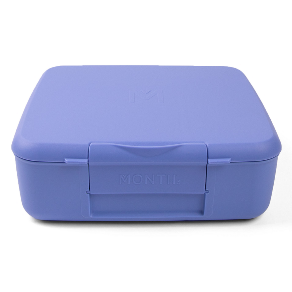 montiio feast lunch box splash