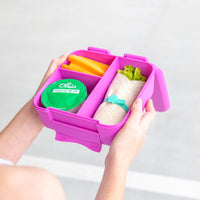 Load image into Gallery viewer, montiico bite lunch box fuchsia
