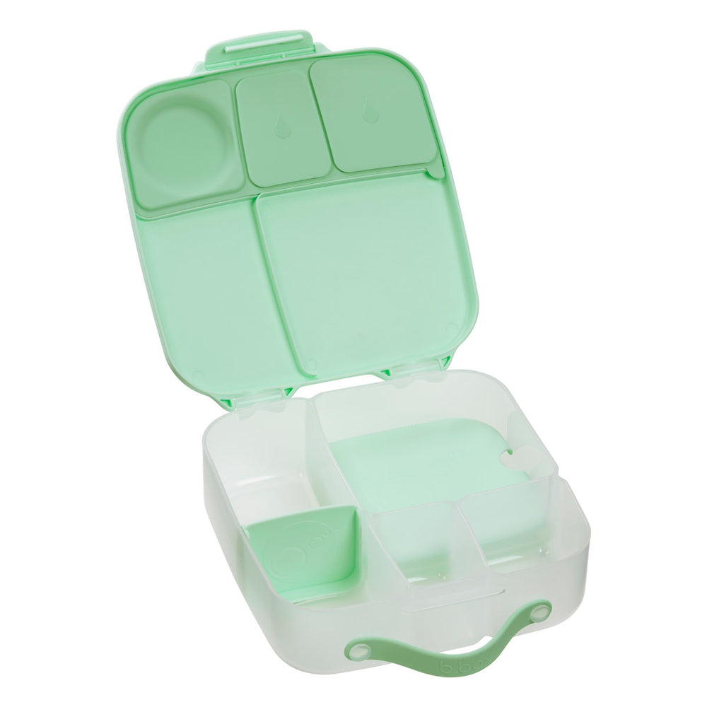 bbox lunchbox spearmint