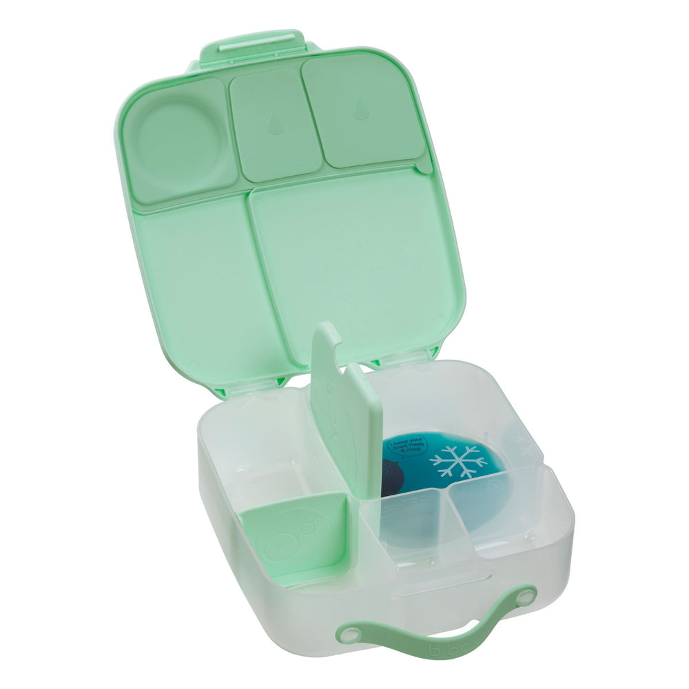 bbox lunchbox spearmint