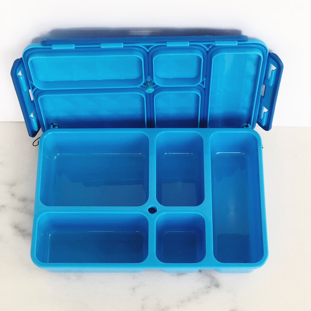 Go Green Snack Box - Blue