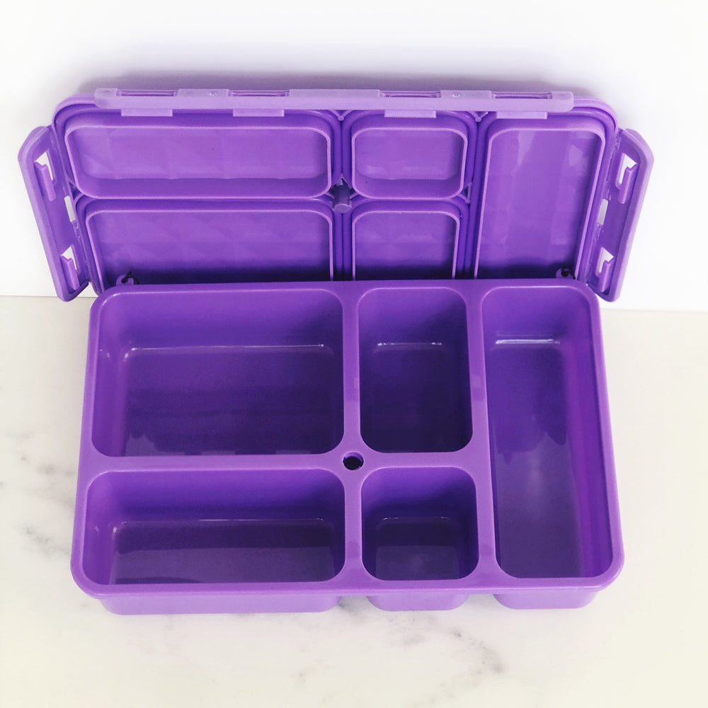 Go Green Snack Box - Purple