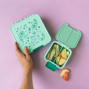 little lunchbox co bento two paisley