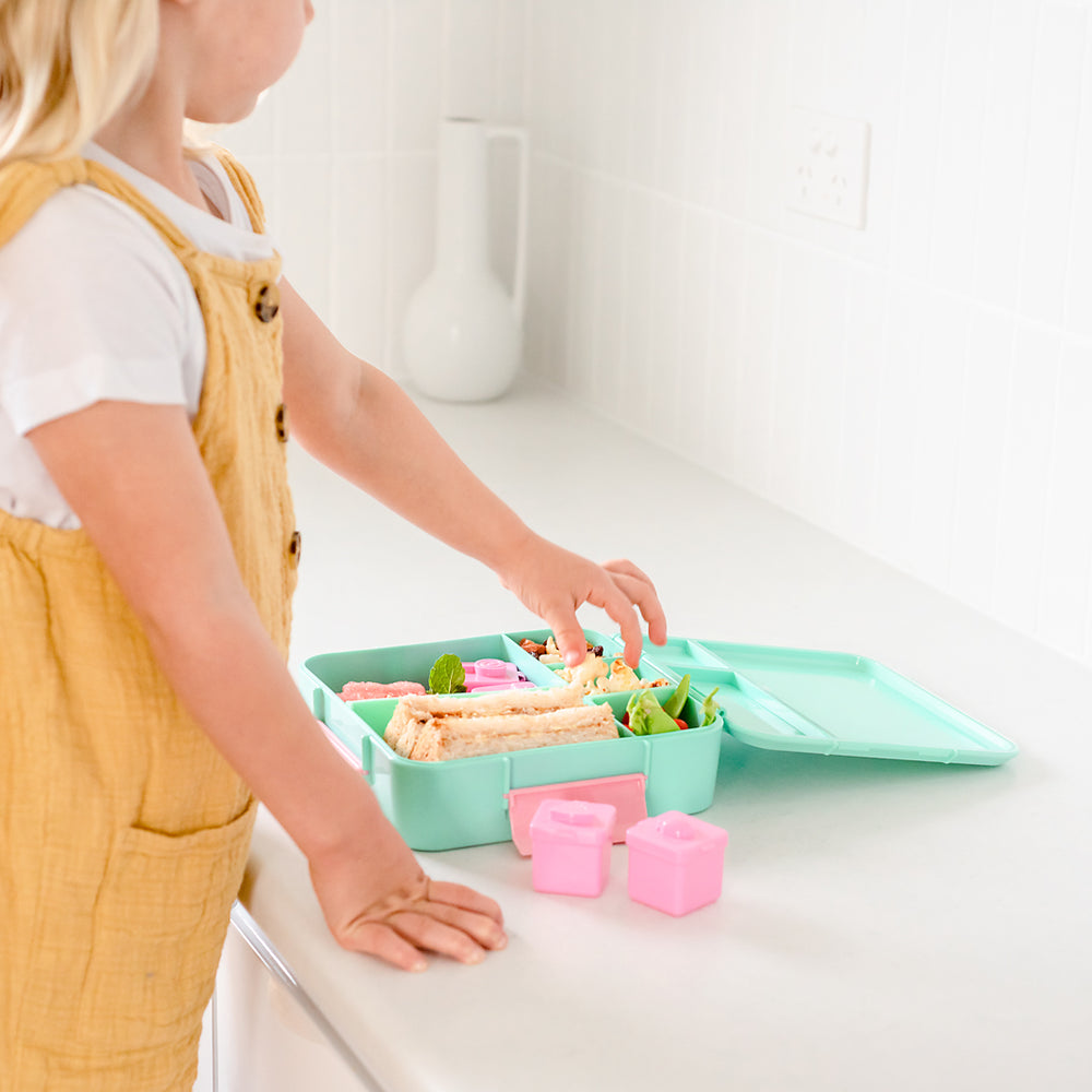 little lunch box co bento three+