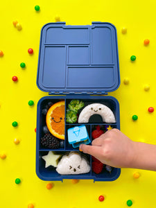 little lunch box co bento surprise boxes fruits