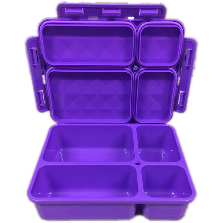 Go Green Medium Lunch Box - Purple