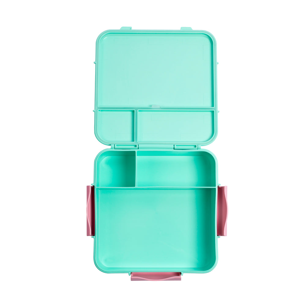 little lunch box co bento three+