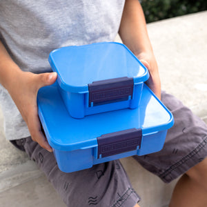 little lunch box co bento 2 blueberry