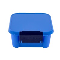 Load image into Gallery viewer, little lunch box co bento 2 blueberry
