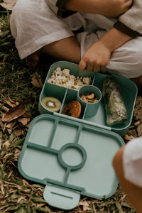 woodland wares teal bento lunchbox