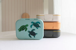 woodland wares teal turtles bento lunchbox