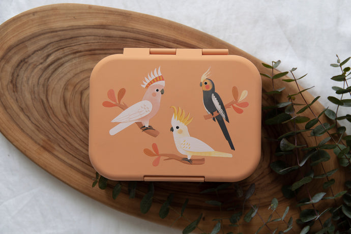 woodland wares peach birds bento lunchbox